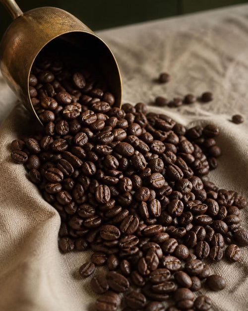 LUZ Coffee - Brightly Rooted
